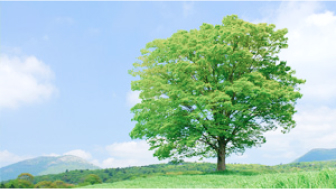 ストレス性疾患